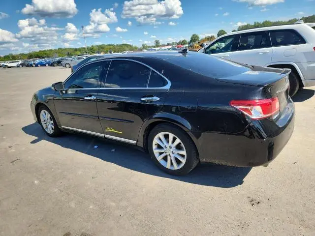 2010 LEXUS ES 350  
