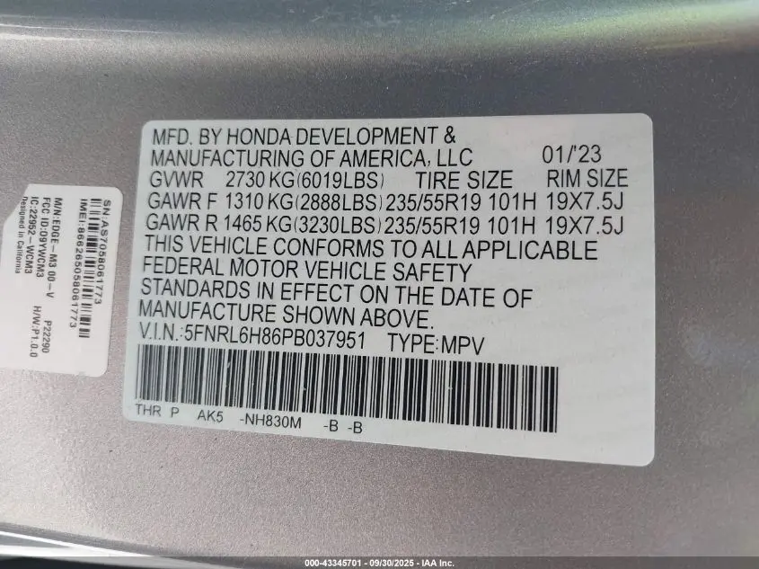 2023 HONDA ODYSSEY TOURING