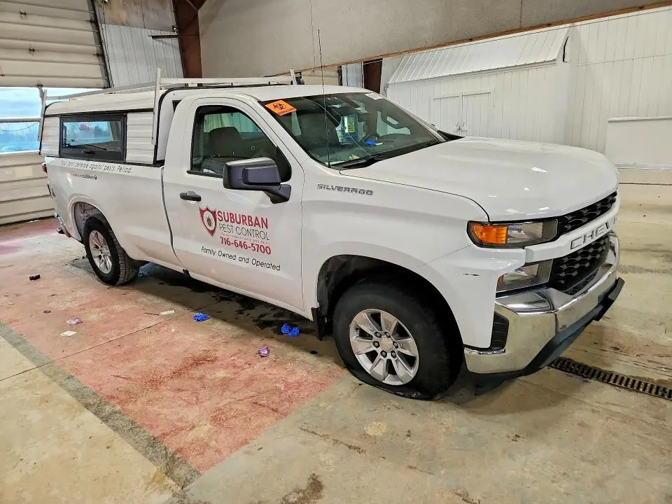 2019 CHEVROLET SILVERADO C1500  