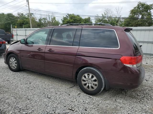 2010 HONDA ODYSSEY EXL