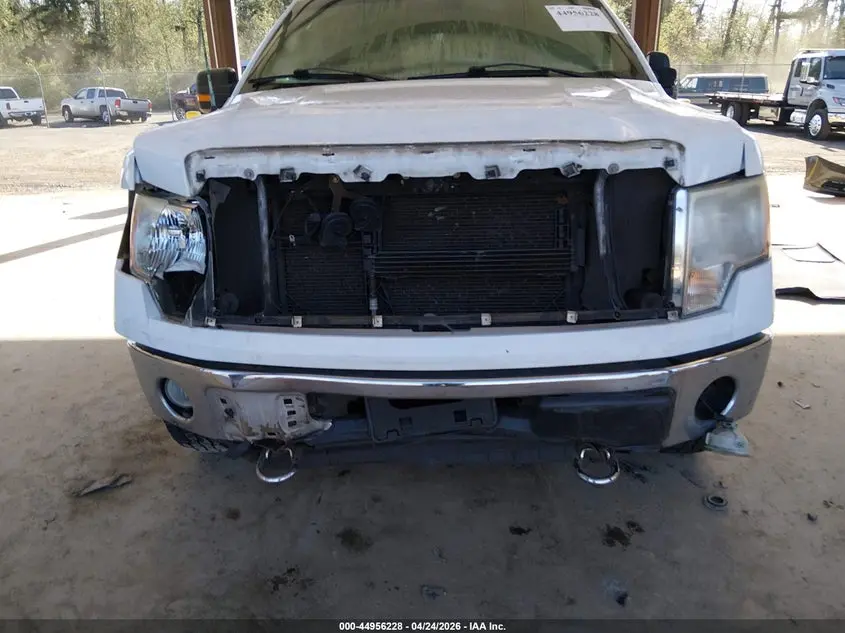 2010 FORD F-150 FX4/HARLEY-DAVIDSON/KING RANCH/LARIAT/PLATINUM/XL/XLT