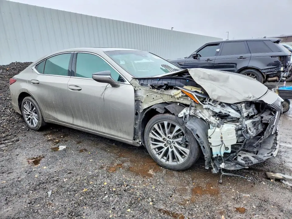 2019 LEXUS ES 350  
