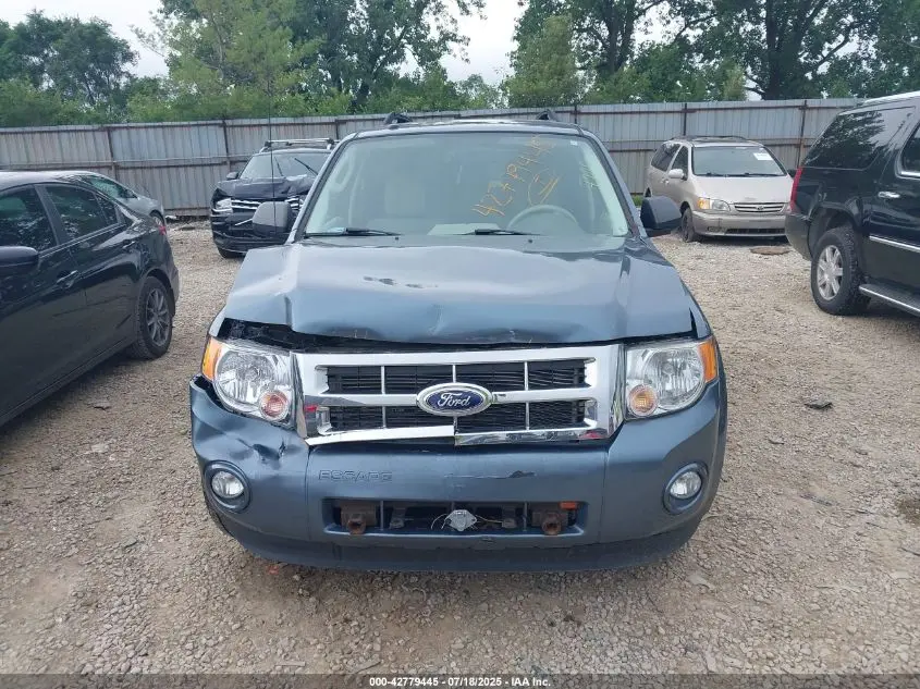 2011 FORD ESCAPE XLT