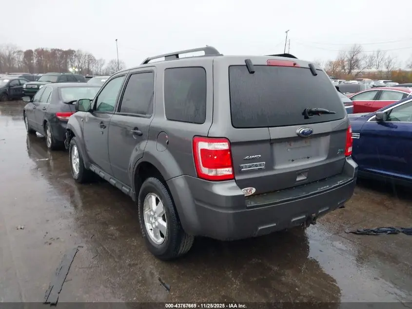 2010 FORD ESCAPE XLT