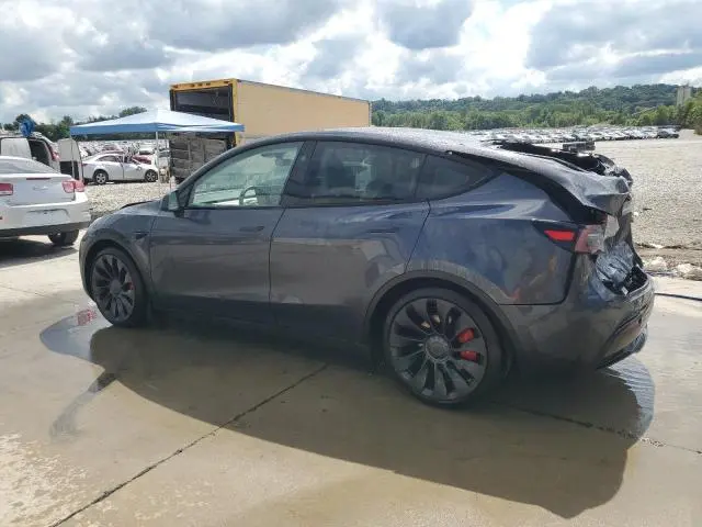 2024 TESLA MODEL Y   