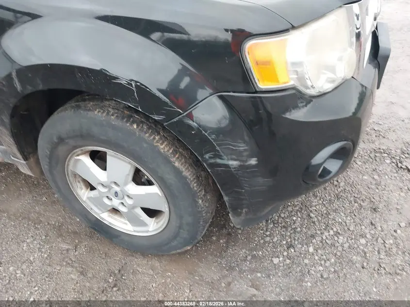 2011 FORD ESCAPE XLT