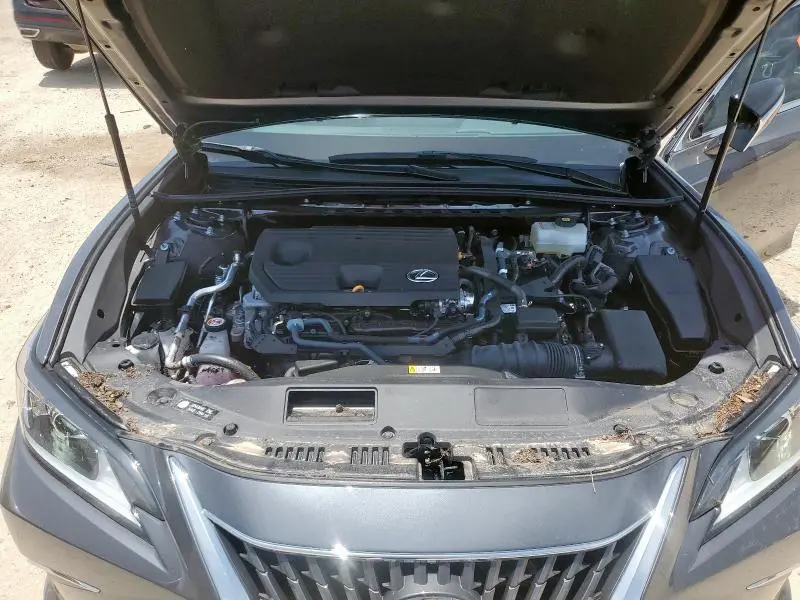 2025 LEXUS ES 300H BASE  
