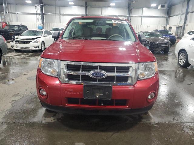 2010 FORD ESCAPE XLT