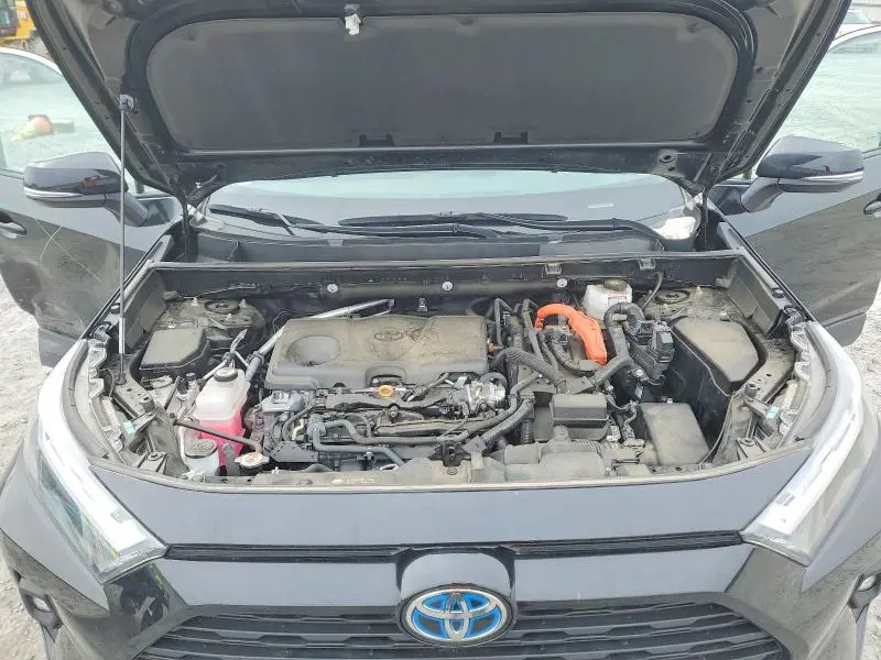 2024 TOYOTA RAV4 WOODLAND EDITION  