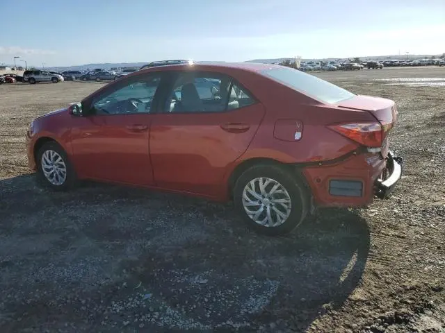 2019 TOYOTA COROLLA L