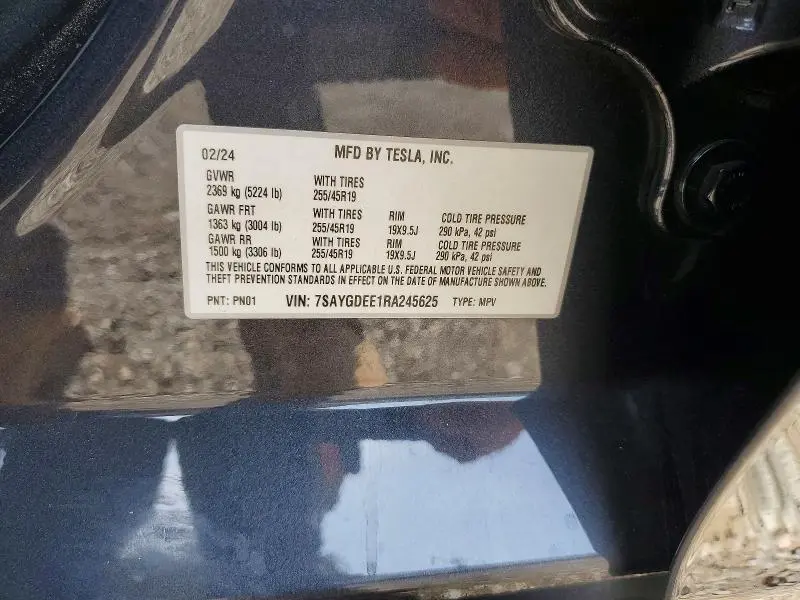 2024 TESLA MODEL Y   