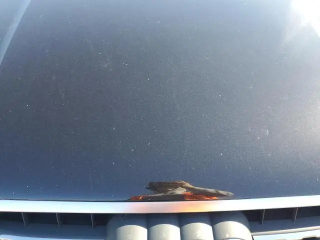 2018 AUDI Q7 PRESTIGE  