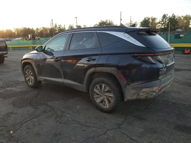 2023 HYUNDAI TUCSON BLUE  