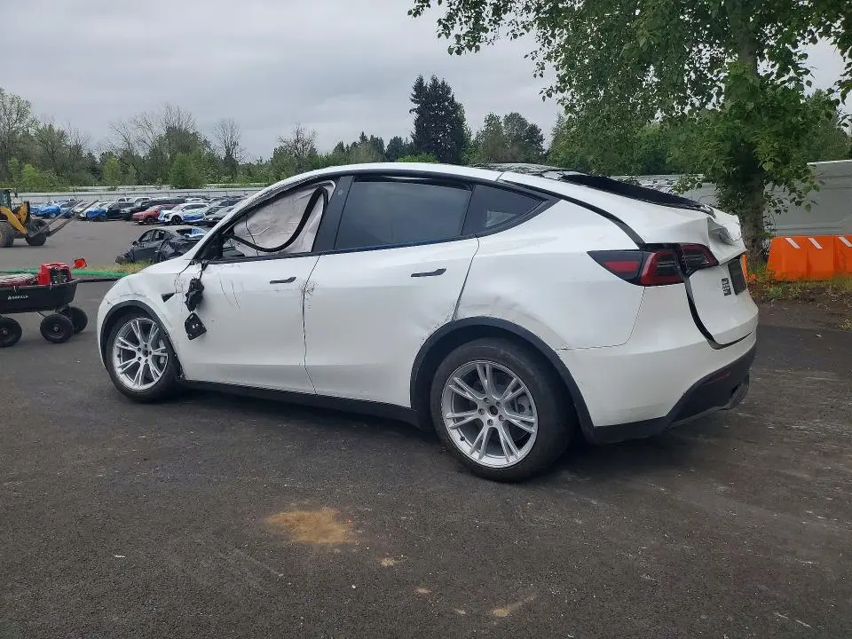 2021 TESLA MODEL Y   