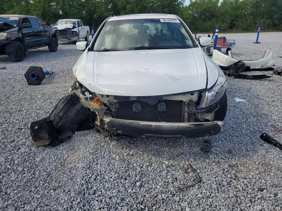 2010 HONDA ACCORD EXL  