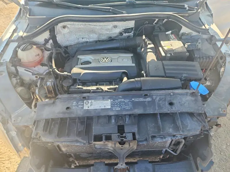 2010 VOLKSWAGEN TIGUAN SE  