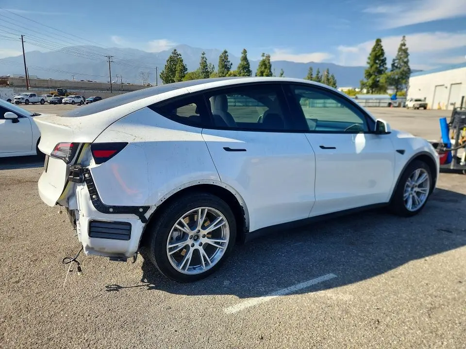 2021 TESLA MODEL Y   