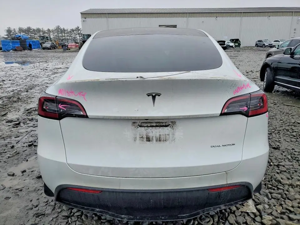 2023 TESLA MODEL Y   