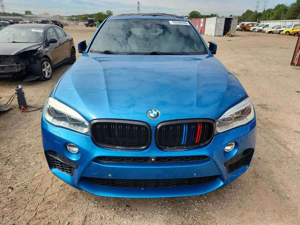 2015 BMW X6 M  