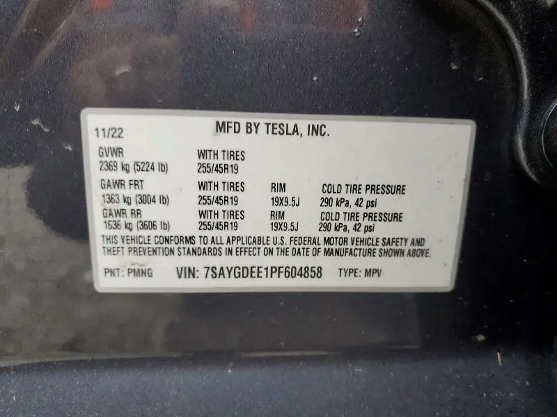 2023 TESLA MODEL Y   