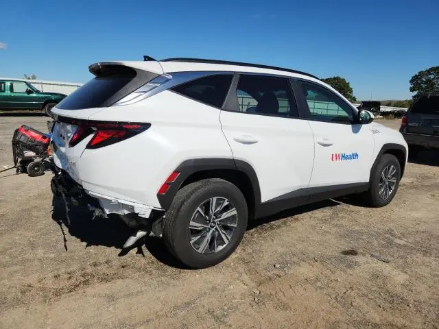 2024 HYUNDAI TUCSON BLUE  