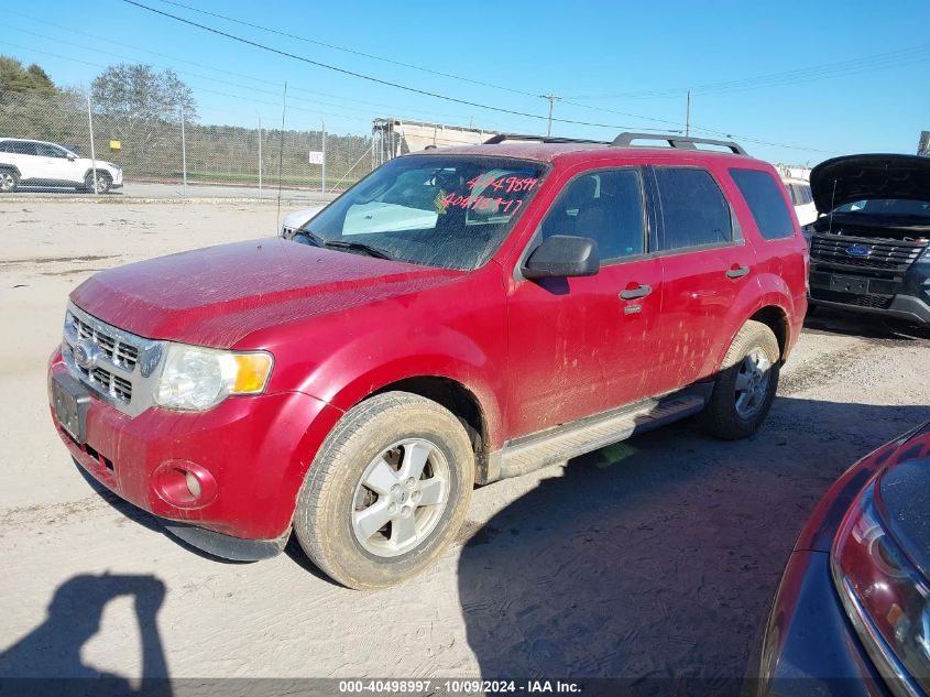 2011 FORD ESCAPE XLT