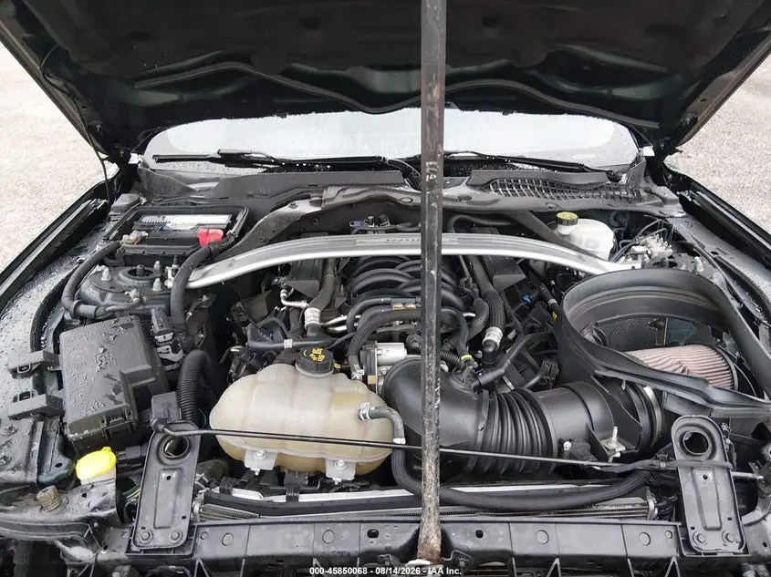 2019 FORD MUSTANG BULLITT