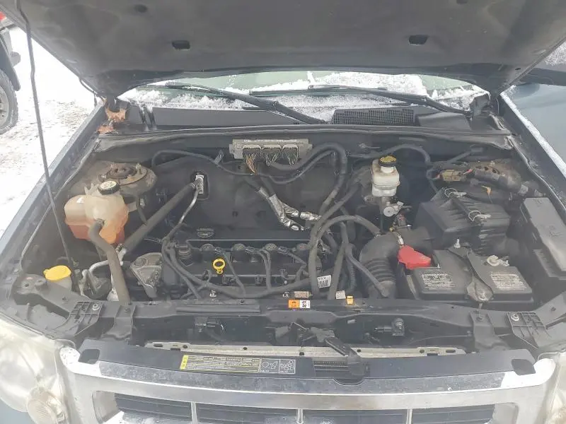 2010 FORD ESCAPE XLT  