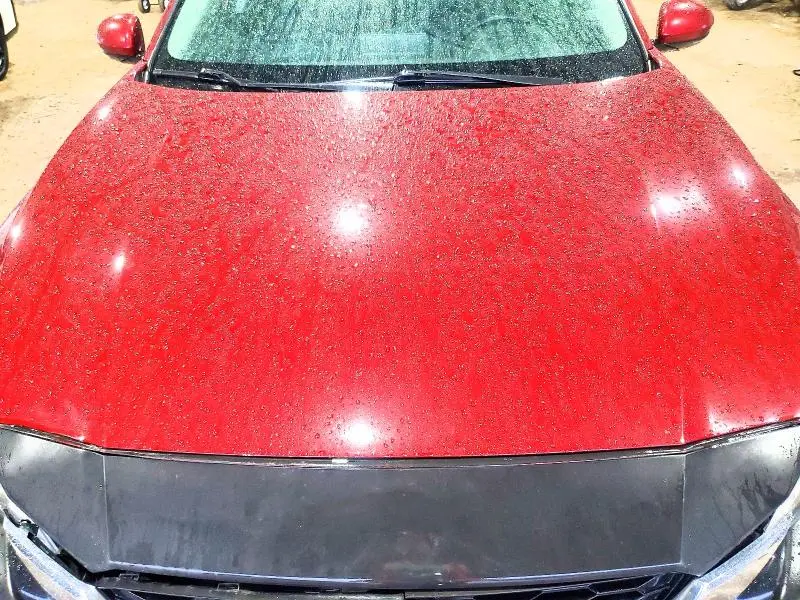 2019 NISSAN ALTIMA SL  