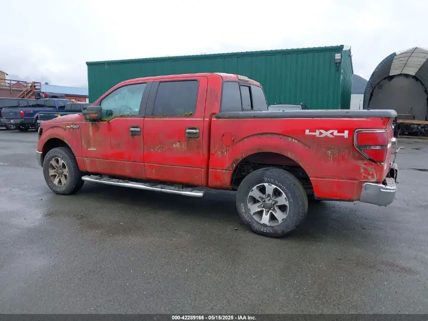 2013 FORD F-150 XLT