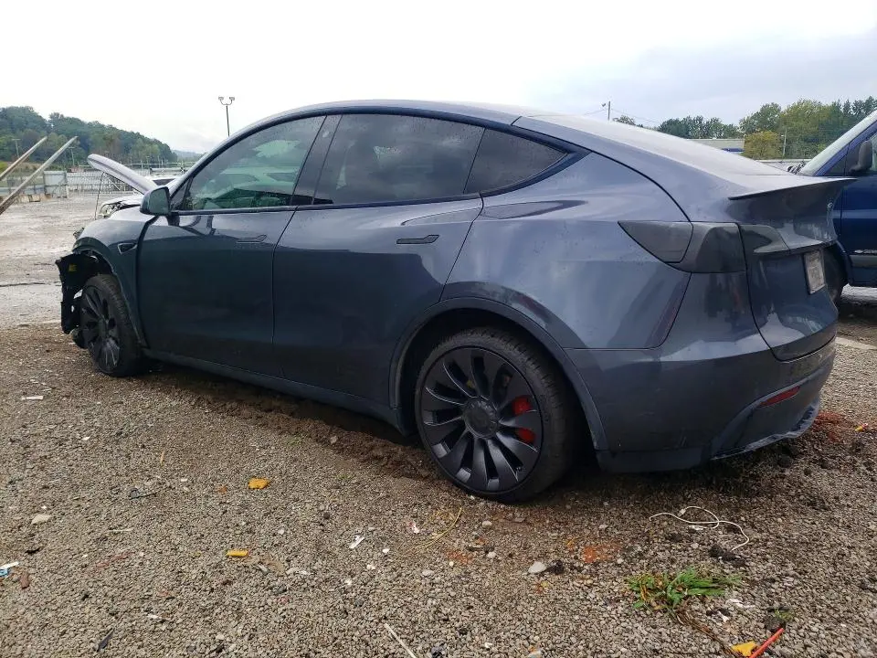 2022 TESLA MODEL Y   