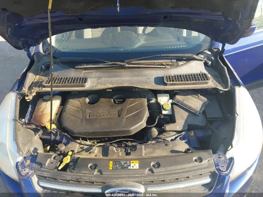 2013 FORD ESCAPE SE