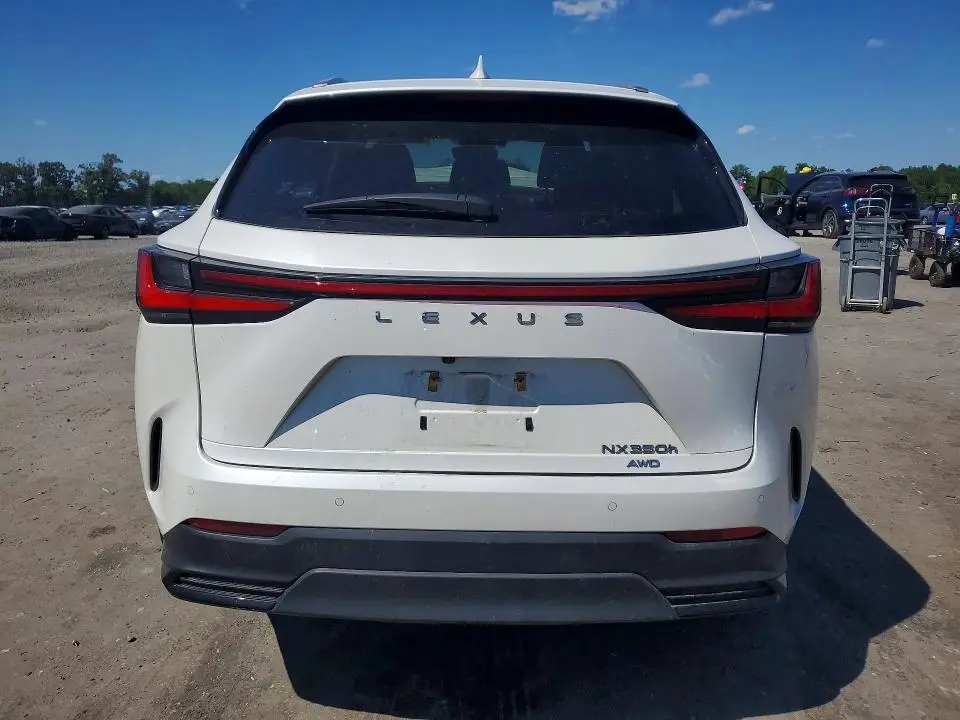 2024 LEXUS NX 350H LUXURY  