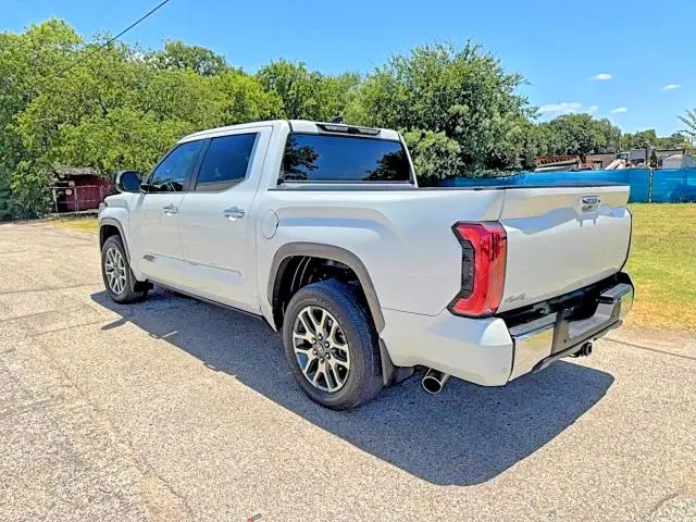 2025 TOYOTA TUNDRA 1794 EDITION  