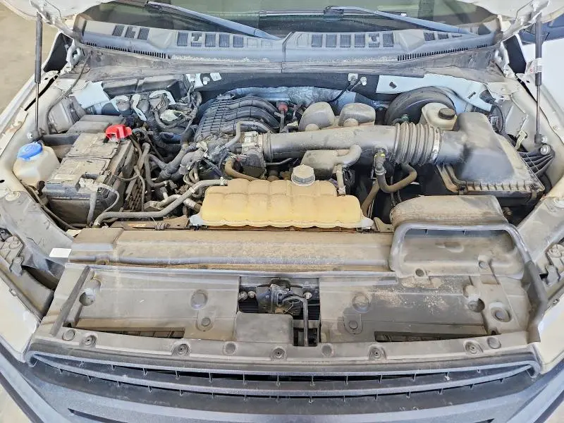 2019 FORD F150   