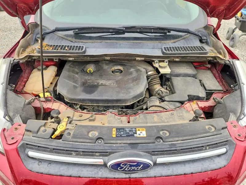 2014 FORD ESCAPE SE  