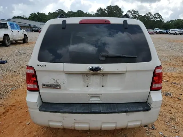 2010 FORD ESCAPE XLT