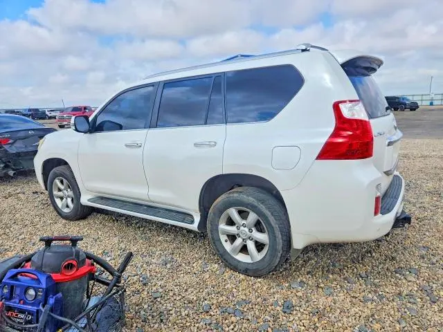 2010 LEXUS GX 460  