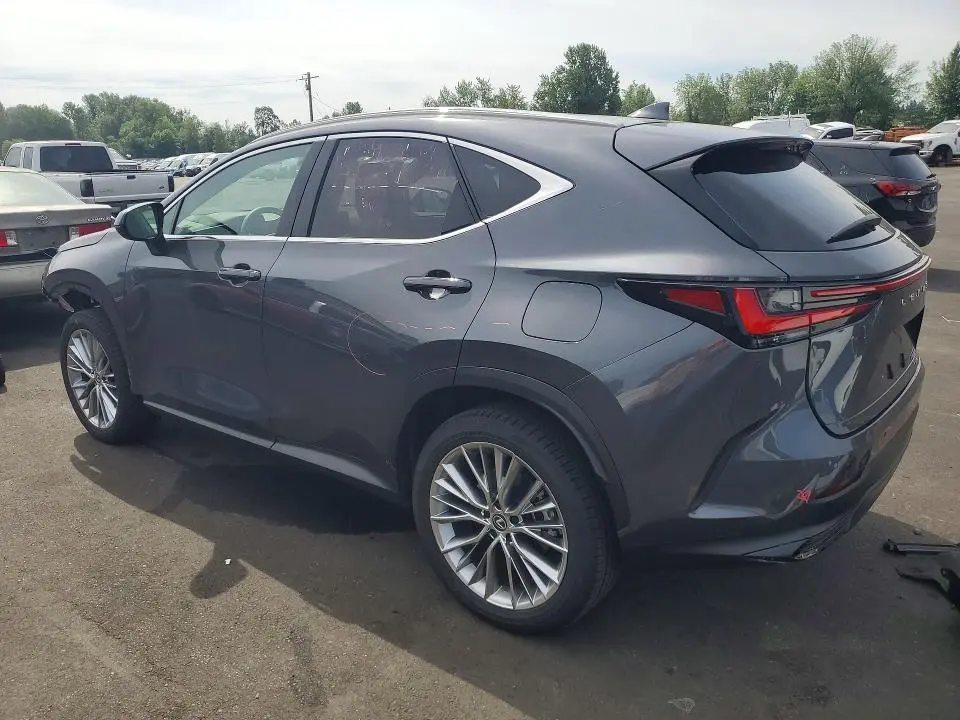 2024 LEXUS NX 350 LUXURY  