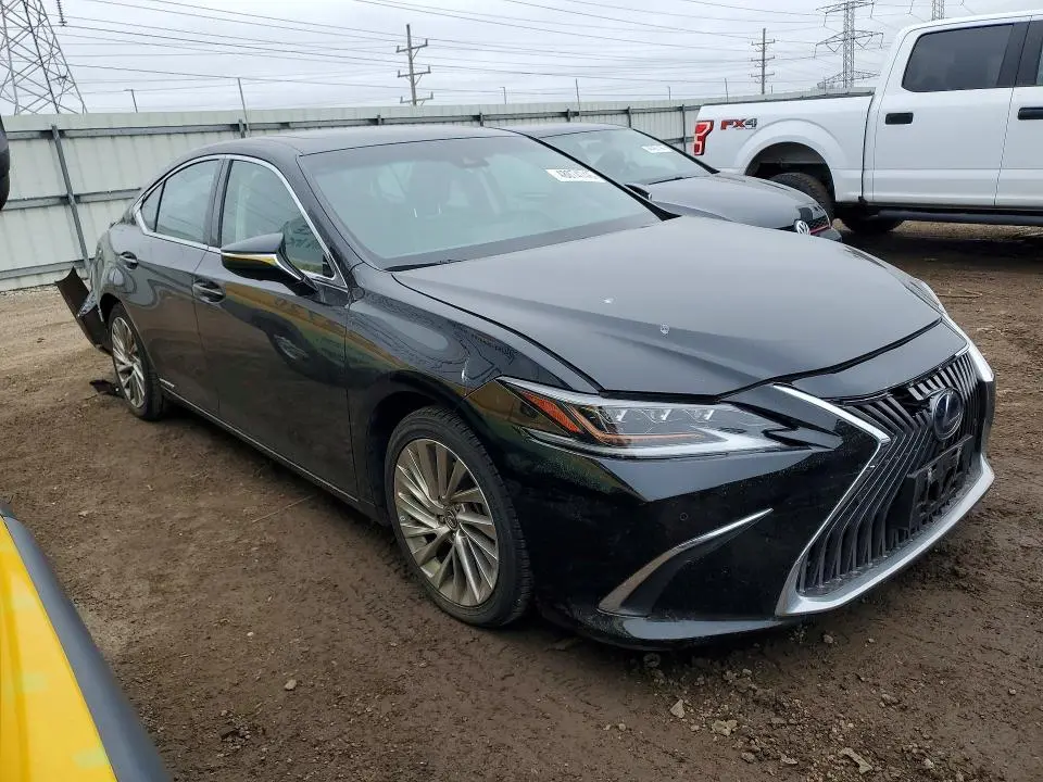 2019 LEXUS ES 300H LUXURY  