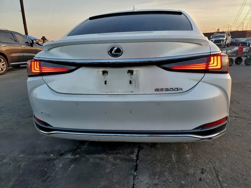 2019 LEXUS ES 300H  
