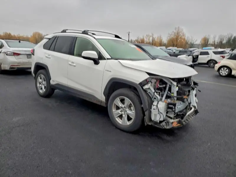 2019 TOYOTA RAV4 XLE  