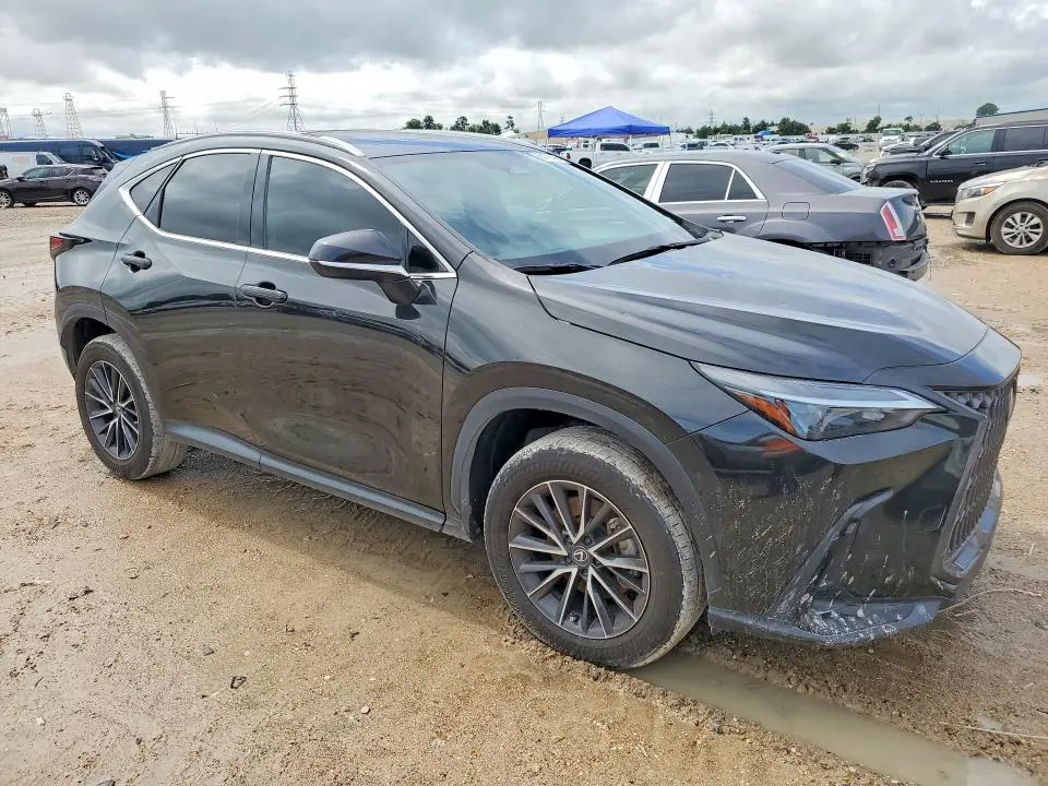 2024 LEXUS NX   