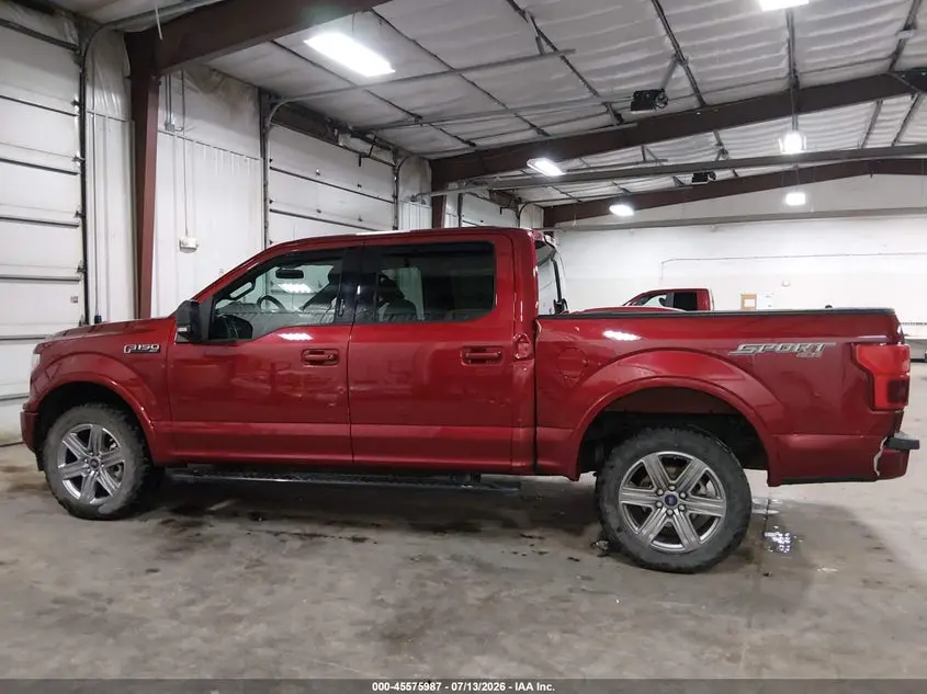 2019 FORD F-150 XLT