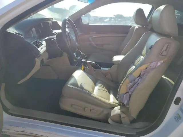 2010 HONDA ACCORD EXL  