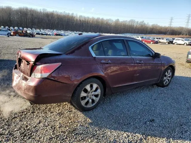 2010 HONDA ACCORD EXL  