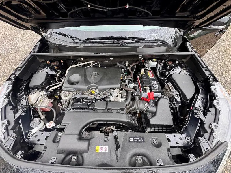 2019 TOYOTA RAV4 XLE  