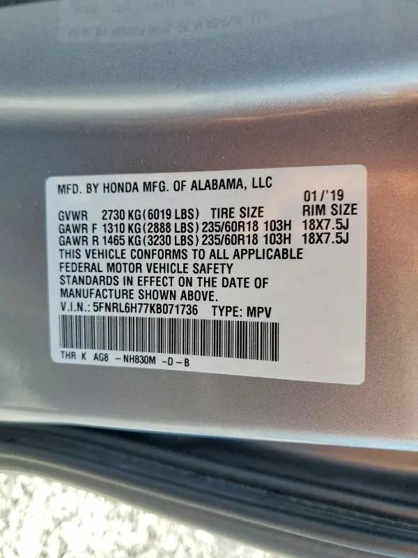 2019 HONDA ODYSSEY EXL  