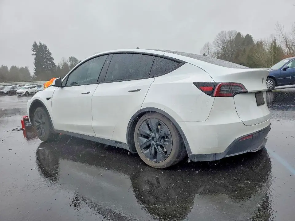 2024 TESLA MODEL Y   