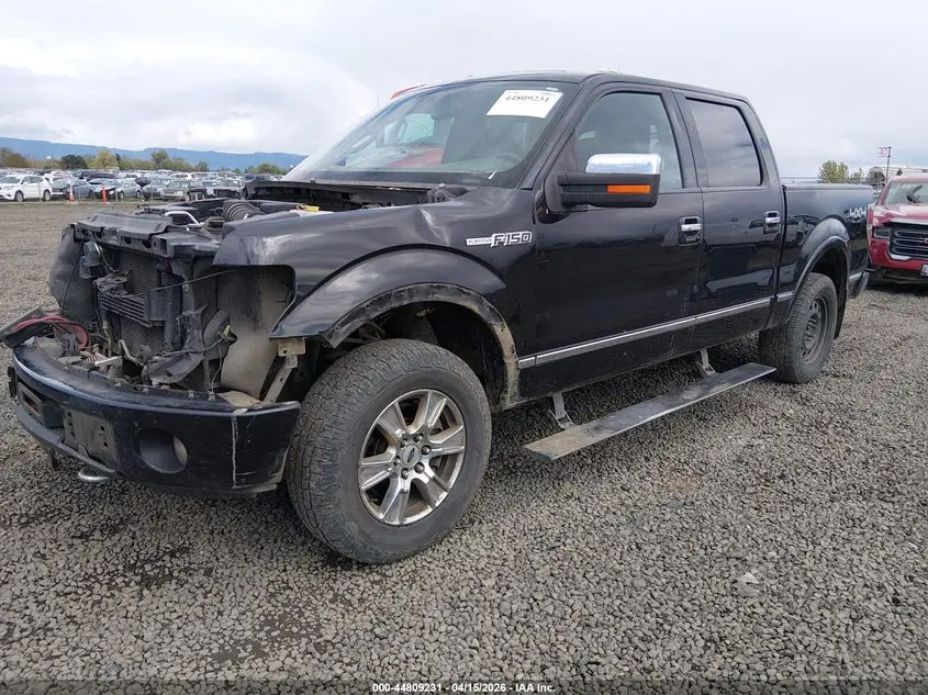 2013 FORD F-150 PLATINUM